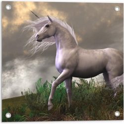 Tuinposter – Witte Unicorn op Berg - 50x50cm Foto op Tuinposter  (wanddecoratie voor buiten en binnen)